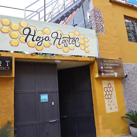 Hoja Hostel Tiranë Eksteriør bilde