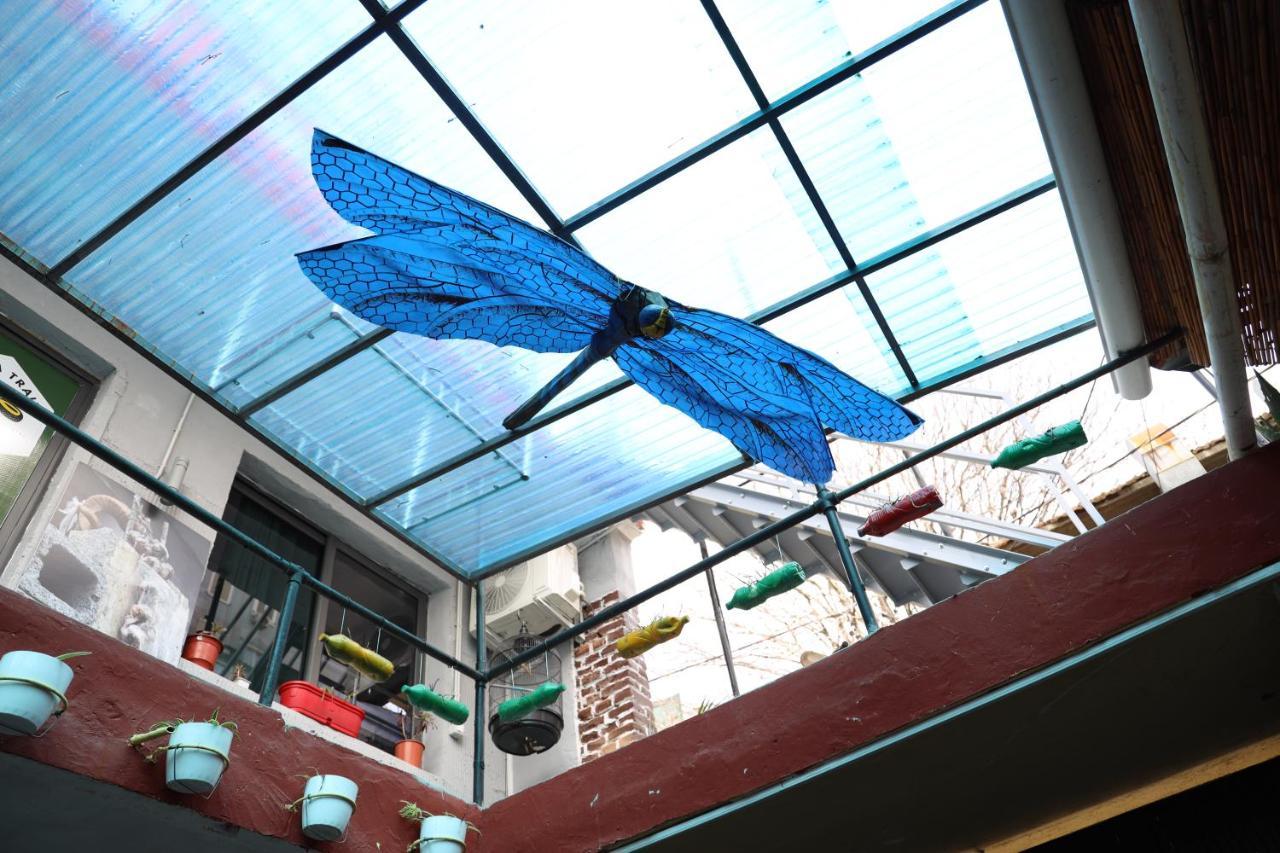 Hoja Hostel Tiranë Eksteriør bilde