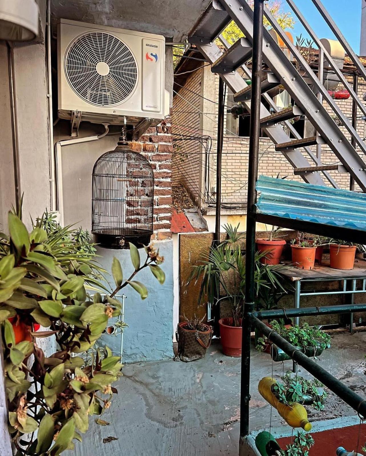 Hoja Hostel Tiranë Eksteriør bilde